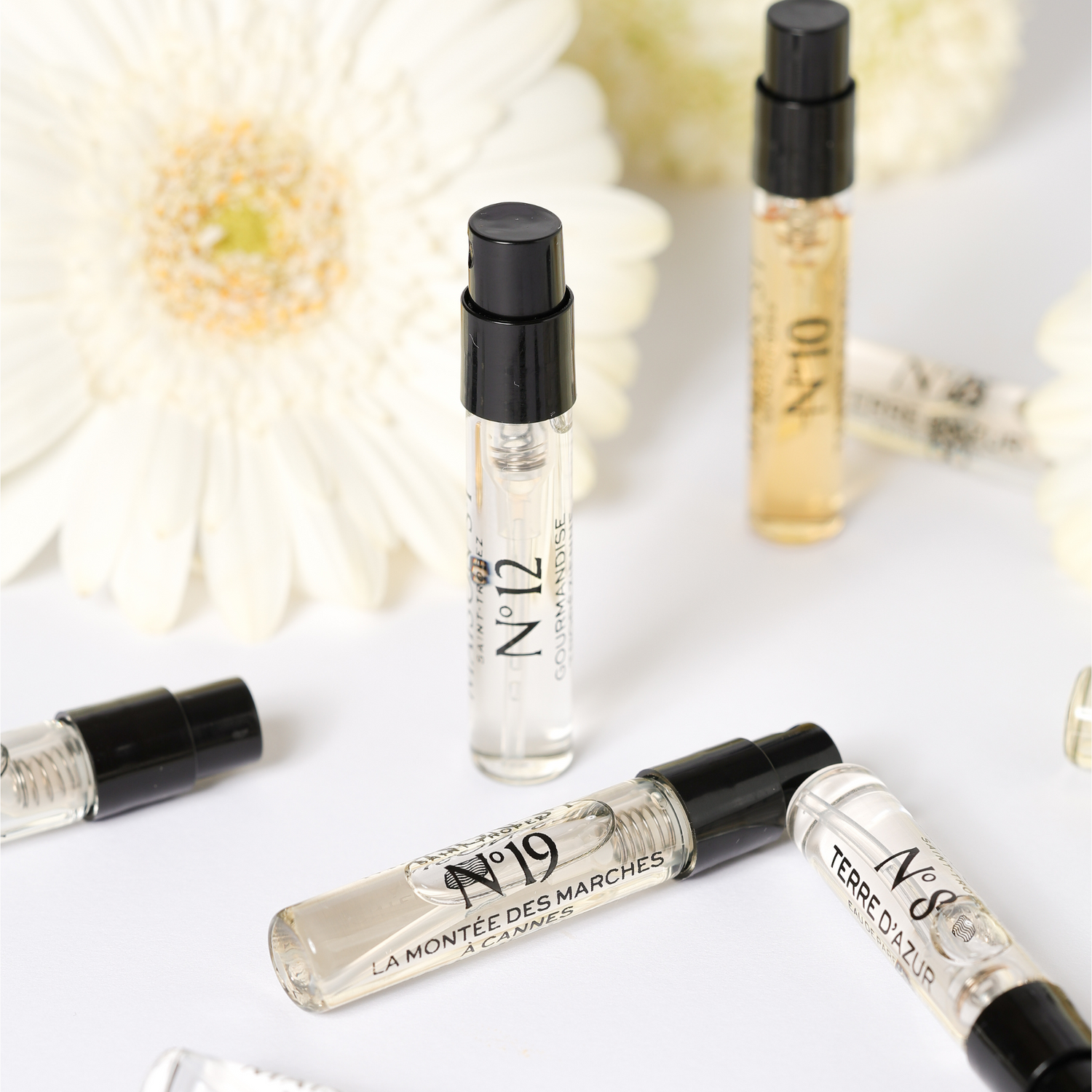 ÉCHANTILLIONS TERRE D’AZUR