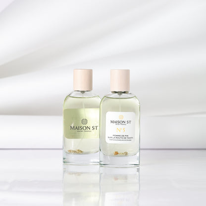 N°5 A pine cone on the road to Tahiti beach