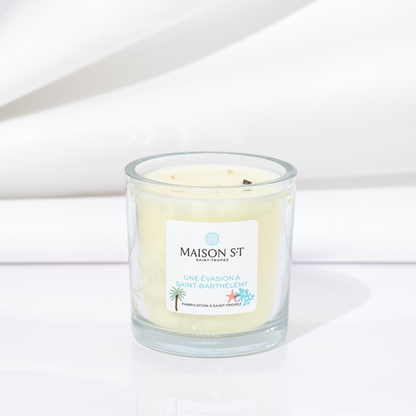 AN ESCAPE TO SAINT-BARTHELEMY - 380 Gr