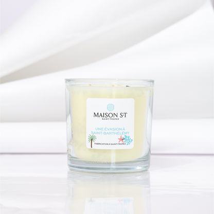 AN ESCAPE TO SAINT-BARTHELEMY - 380 Gr