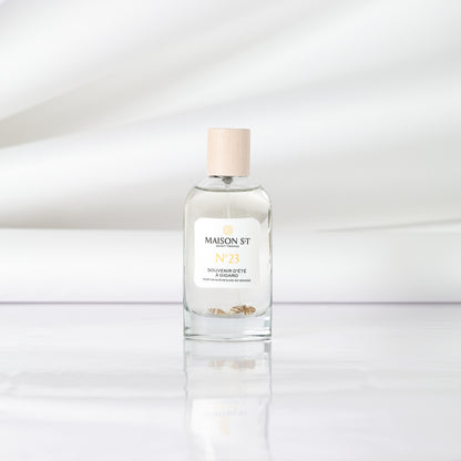 N°16 Memory of a summer in Gigaro