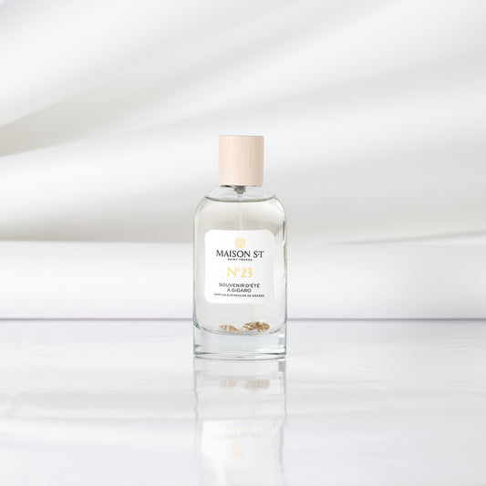 N°16 Memory of a summer in Gigaro